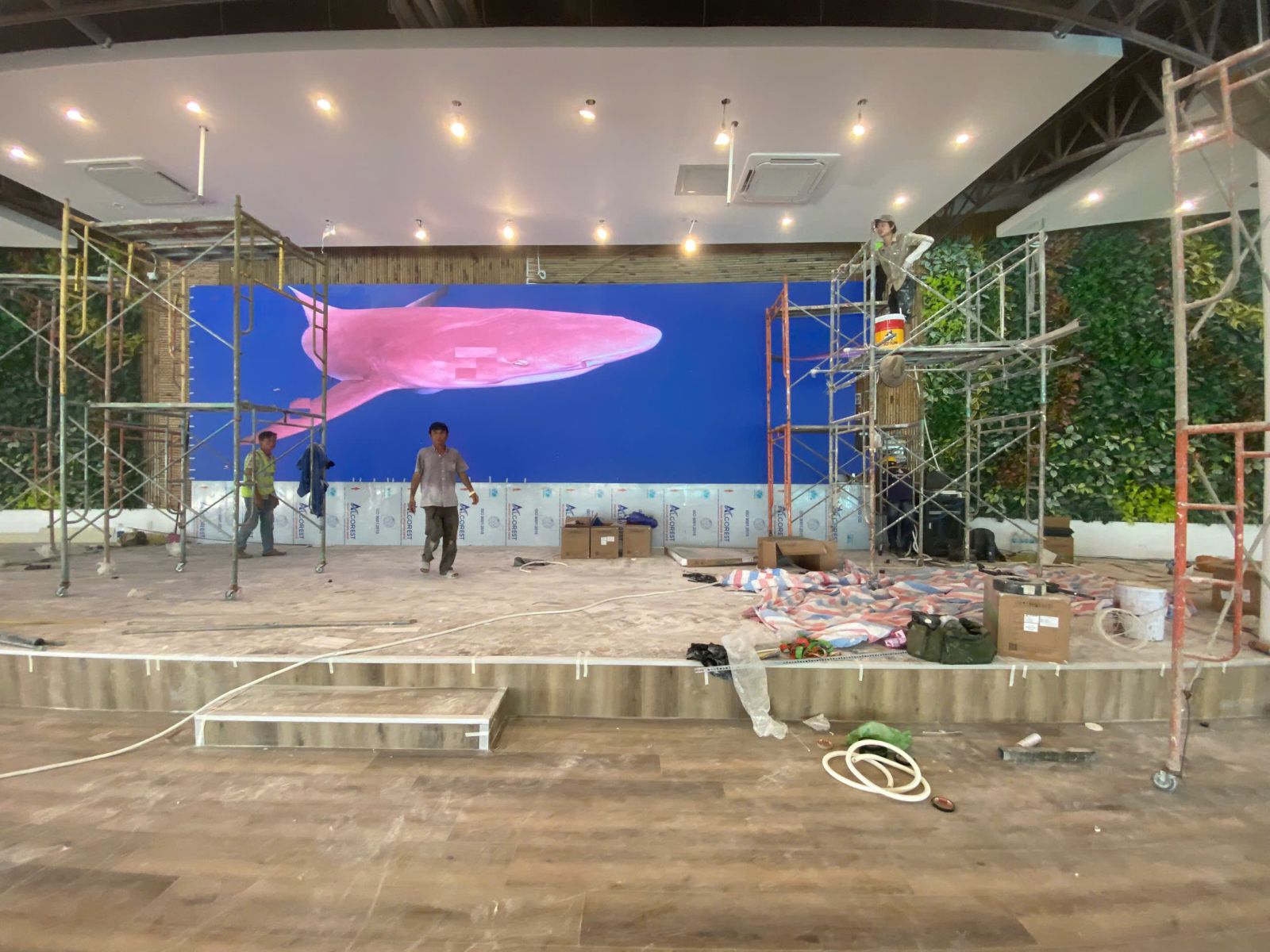 Lắp Đặt Màn Hình LED Cần Giờ