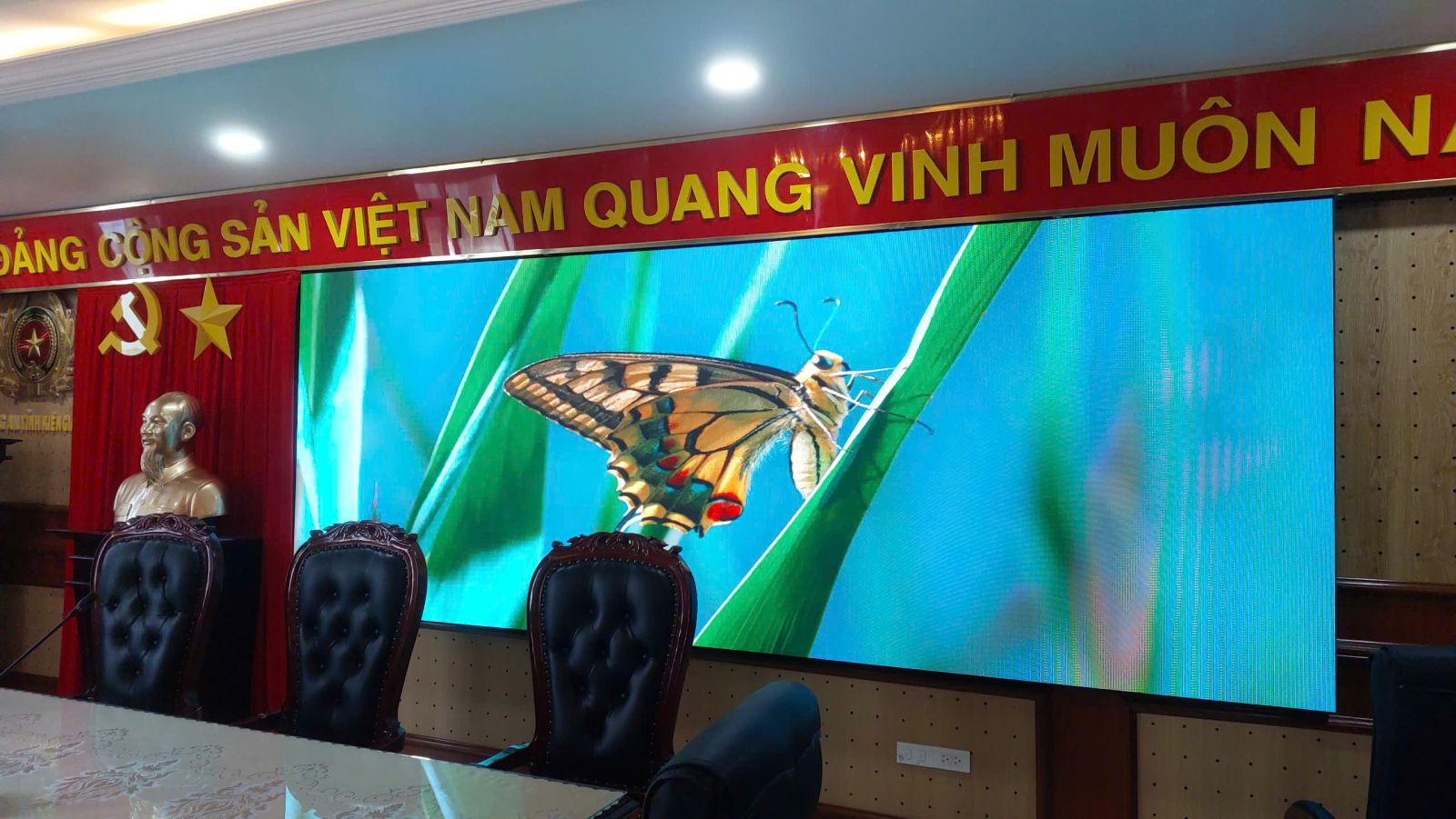màn hình led hội trường