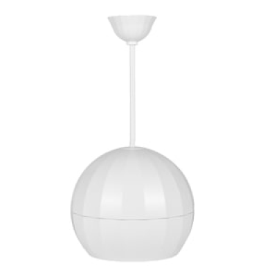 Loa thả trần D-06W ITC