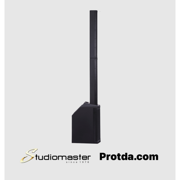 Direct 101MX Column Speaker