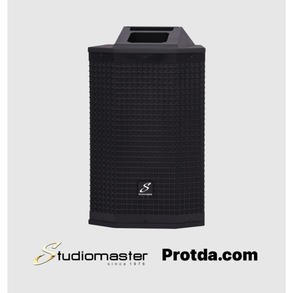 Direct 101MX Column Speaker