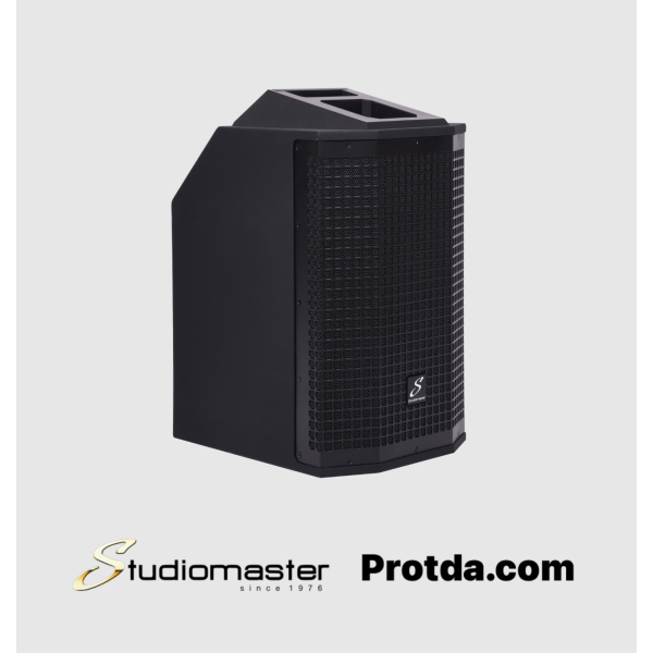 Direct 101MX Column Speaker